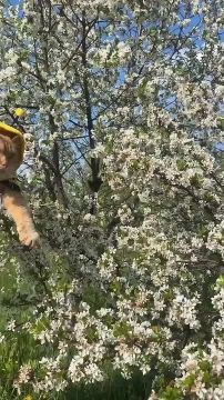 �����-�� ������� � ���� ���� ������ � ����� ���������