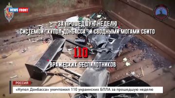 «Купол Донбасса» уничтожил 110 украинских БПЛА за прошедшую неделю