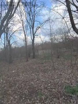 ����� ���������� ����� �� �������� ���������� �� ���������� �����������