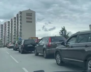 Поездка в Крым отменяется: спрос на отдых на полуострове рухнул из-за дефицита бензина