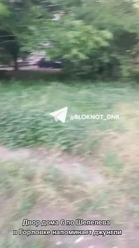 ������, ��� � ���������: ���� ���� 6 �� ��. �������� � �������� ����� ��������� � ���� ��������