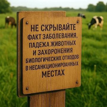 Вниманию жителей Тельмановского муниципального округа!