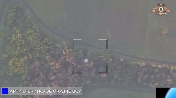 «Беркут» уничтожает 152-мм гаубицу «Мста-Б» ВСУ под Дружковкой