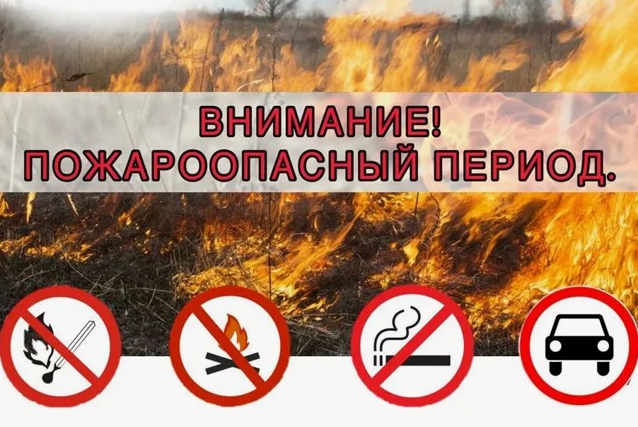 В связи с наступлением пожароопасного периода и участившимися пожарами на территории округа, МЧС России по Донецкой Народной Республике напоминает