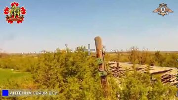 56 обСпН уничтожает антенны связи, ПУ БЛА и дрон «Вампир» ВСУ