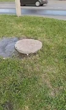 ������������� ��� ������ ������� � ��������� ������ �������, ��� ��������