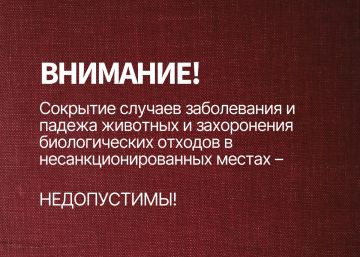 ��� ��������� ������ ������ � ����������� �������� � ��� ������ ��� ����!�