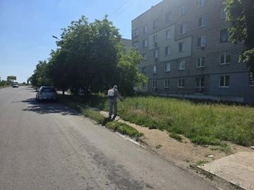 Защита от клещей: комплексный подход к безопасности в Докучаевске