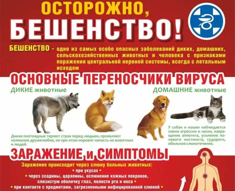 Вниманию владельцев животных