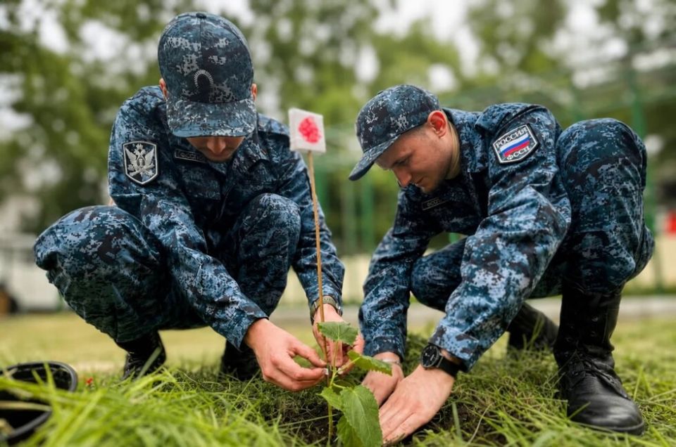 Императорские саженцы: приставы ДНР высадили аллею к Дню России