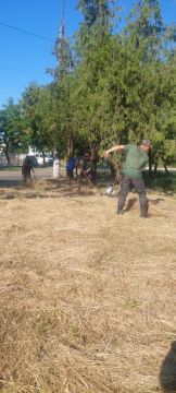 Коммунальщики проводят сбор скошенной травы