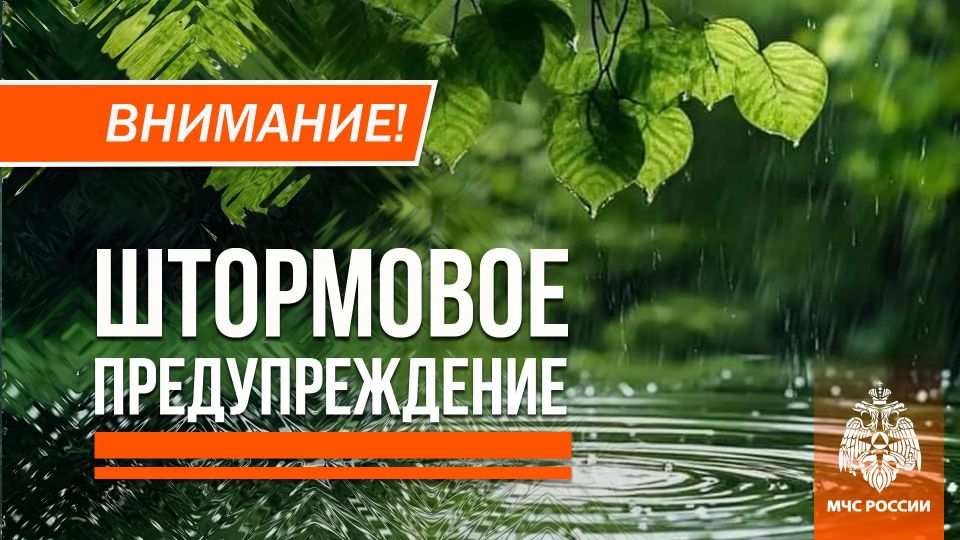 Днем 11 июня местами по территории ДНР ожидается комплекс метеорологических явлений: сильный дождь в сочетании с грозой, местами град