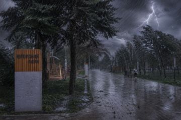 �����, ���� � ����� �� 20 �/�: � ��� ������ ��������