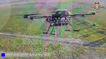 242 ��� ���������� ���� ������ �����-��� ���