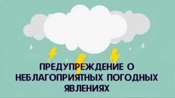 ���� 13 ���� �� ���������� ��� ��������� �������� ����������������� �������: ������� �����, ������ � ��������� � ������, ������ � ������� ������ 15-20 �/�.������ ����������� � ���������