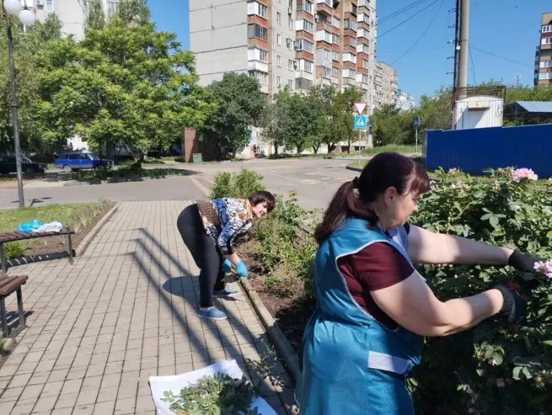 11 июня 2026 года, в рамках проекта «Городская среда», реализуемого Единой Россией , жители Кировского района приняли участие в традиционной экологической акции «Чистый четверг»