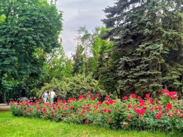 Доброе утро, русский Донецк!