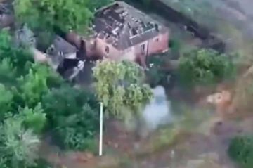 ���� ��������� � ������ ���������-������������ ����������� � ���������� ��