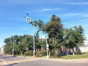 Продолжаем обрезку деревьев