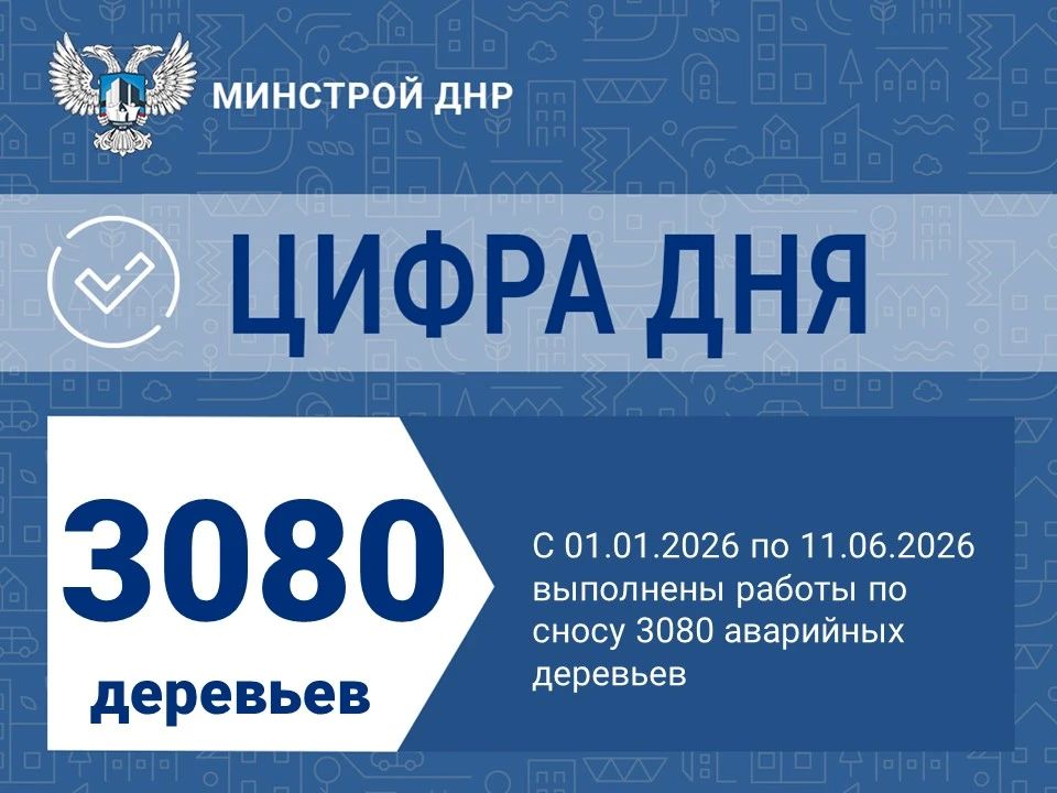 Ликвидация аварийных деревьев продолжается