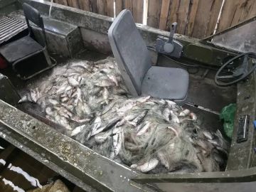 В Белозерском округе Вологодской области сотрудники транспортной полиции пресекли незаконный лов рыбы