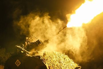 Shot сообщил о смерти депутата из Ростовской области Подкопаевой в зоне СВО