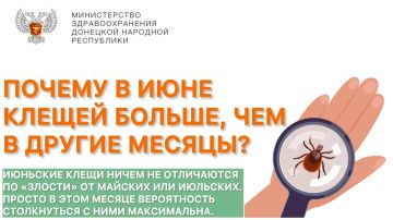 Почему в июне клещей больше, чем в другие месяцы?