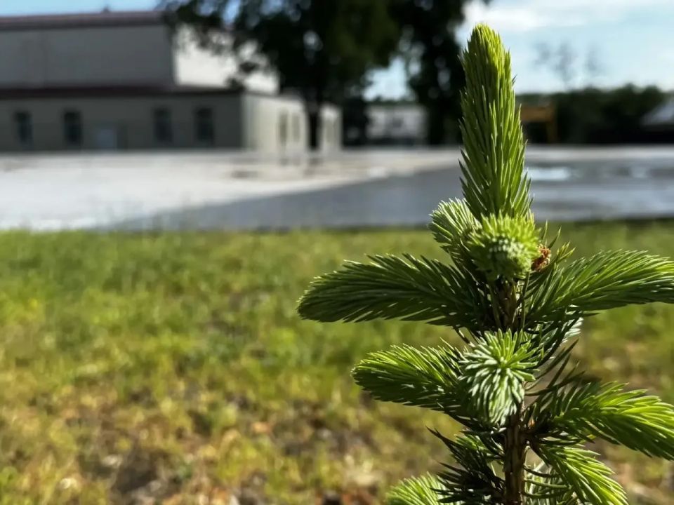 Наталья Великодная: Доброе утро, уважаемые жители!