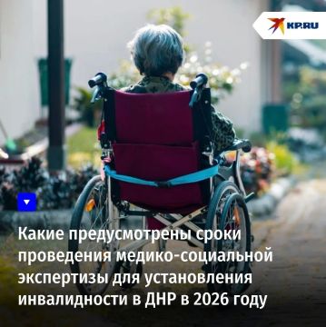 Какие предусмотрены сроки проведения медико-социальной экспертизы для установления инвалидности в ДНР в 2026 году