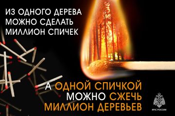 ������ ���: ���� ������ � ������������ ����