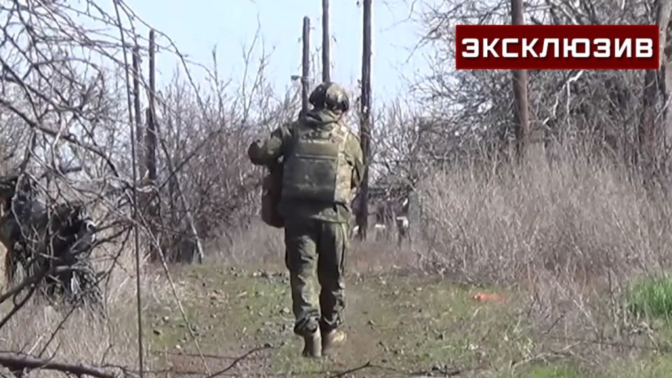 Морпехи применили «веерную» тактику при освобождении Нового Донбасса