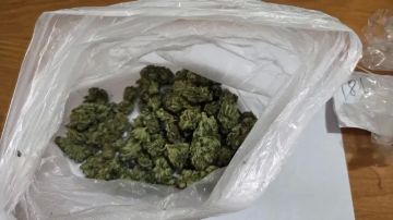 ������ ������������ �������� ���� ����������� �������� ���������� � ���������