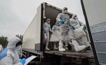 Россия и Украина провели обмен телами погибших военных: Киеву передали 522 тела, Москва вернула домой тела 33 погибших бойцов, заявил военкор ИС «Вести» Евгений Поддубный
