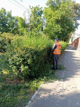 В Мариуполе коммунальщики облагораживают кустарники