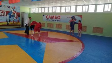 � ������ ��������������� ����� ����������� ������� � ���� ����� �� ���� ������������� ����� � 6 ������ ������-����� �� �����