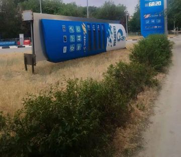 � ������ ����� ���� �� ������