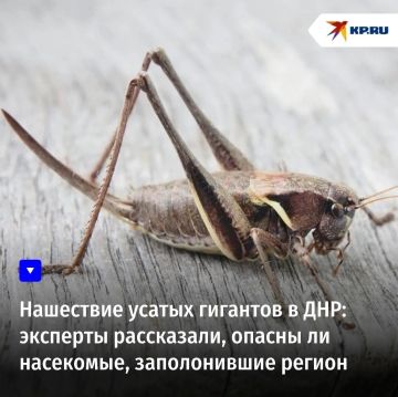 ��������� ������ �������� � ���: �������� ����������, ������ �� ���������, ������������ ������
