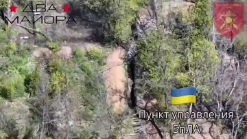 ��� ������: �����������-����������� �����������