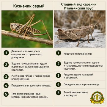 � �������� �������� ������ �������� ������������ �� ������ ��������� �������� ����� ���������, ������� ������ ������� �� ������� � ���������� �� ������