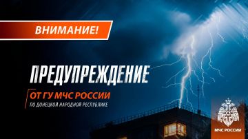 ��������������� �����, �����, ������ ����� �� 14 �/� �� ��������� ��������� ���� ��������� 24 ����