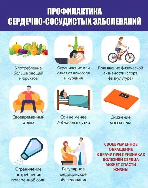 Профилактика сердечно-сосудистых заболеваний (ССЗ) — комплекс мер, направленных на снижение риска их развития, своевременное выявление патологий и минимизацию осложнений