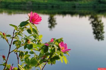 ������������� ��������. 23 ���� � ���������� ���������� ����������, ����� ��� �������, �� ������ �������� ��� �������: ��������������� �����, �����