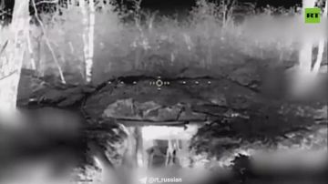 �� �� �������� �������� � �������� ��� �� ������������� �����������, �������� ���������� ������