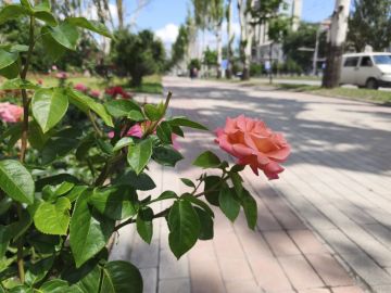 23 ���� � ���������� ���������� ����������, �� ������ �������� ��� ������� ��������������� �����, �����