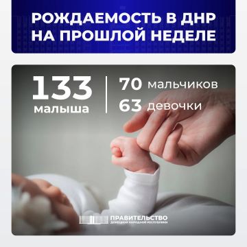 Вице-премьер Лариса Толстыкина сообщила о рождаемости в ДНР