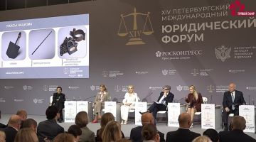 Клеймо тризуба, сверло для пыток, кандалы: Лантратова рассказала о подготовке доклада про зверства ВСУ