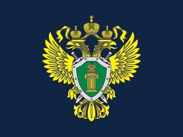 Трудовые гарантии для членов семьи участников СВО
