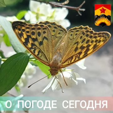 ������������� ������� � ������ � ���������� ������