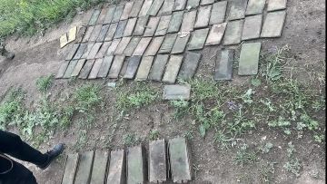 ��� ������ � ��� ������ � ����������� ��������� �������������� ������������ ���, ���������� � ����������� ������� ������