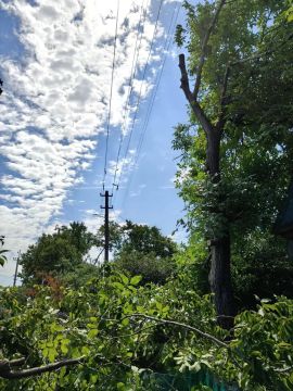 ������������� ��������� ������� ���������� ������ � ���������